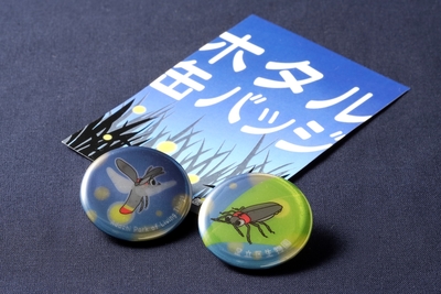 🦋昆虫 | 生物園オンラインショップ